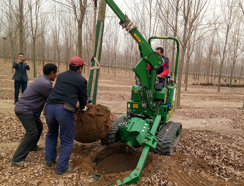 進口挖樹機